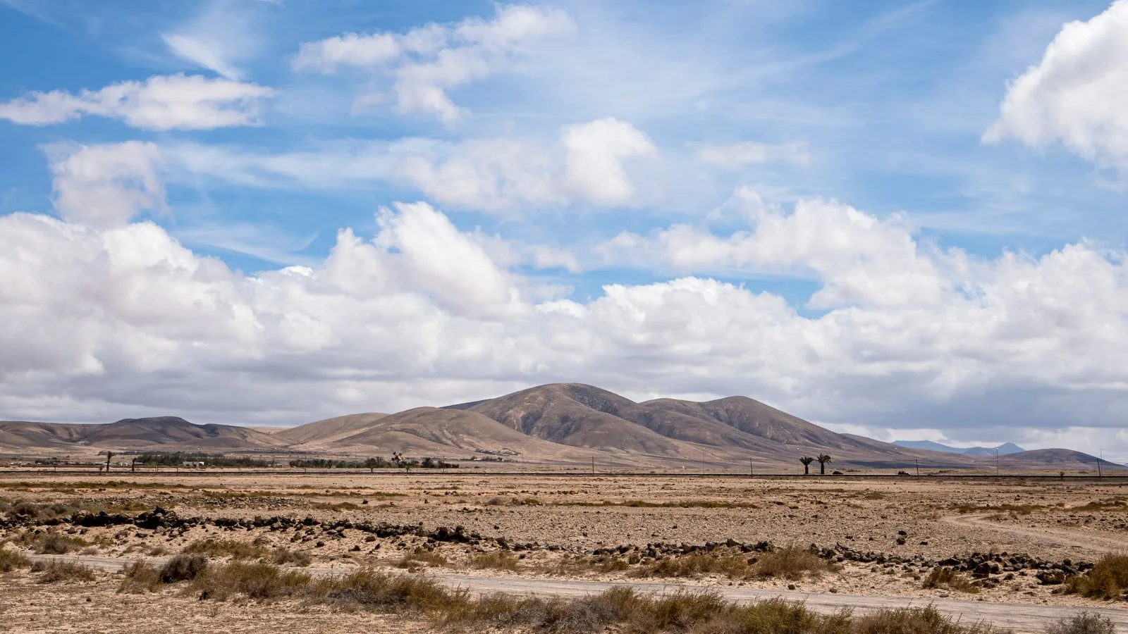 Desert landscape with distant mountains