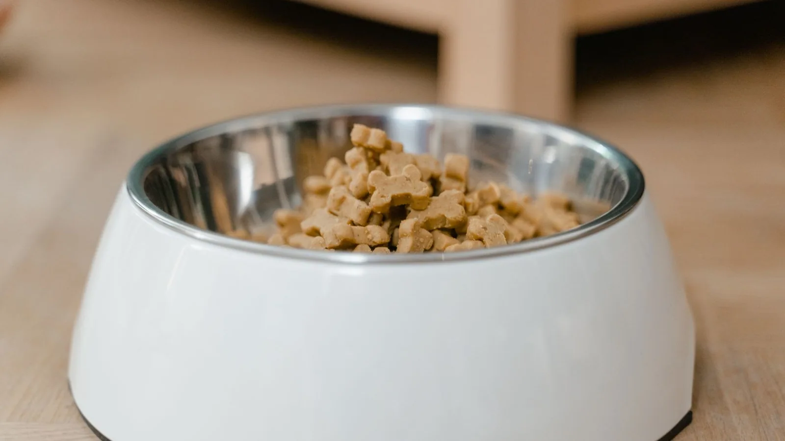 A bowl of dry dog food on a wooden floor A bowl of dry dog food on a wooden floor