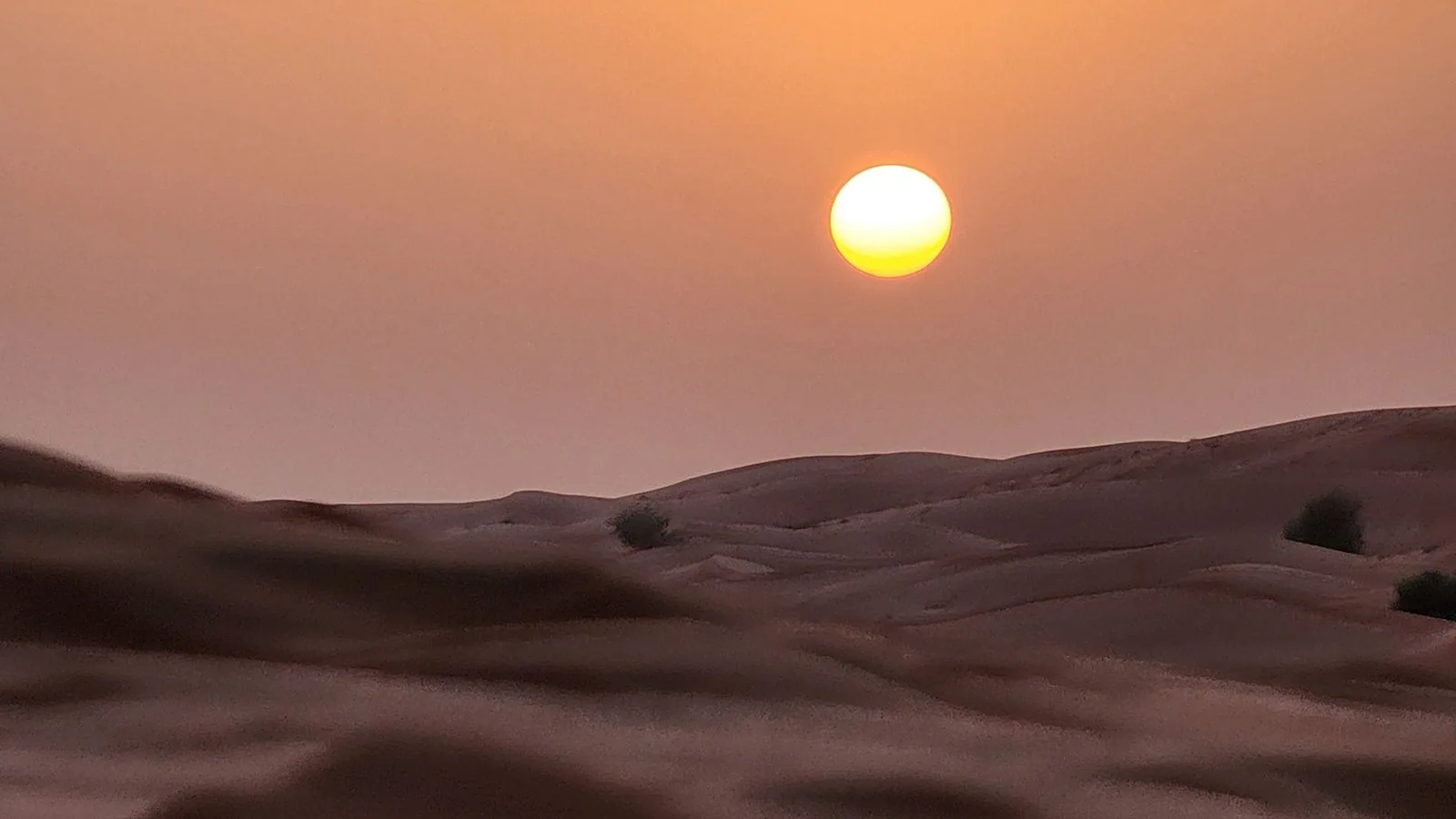 Warm sunset over desert dunes